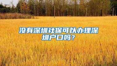 深圳社保怎么补交 个人可以补交么