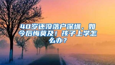 没学历居然还可以这样办理深圳户口，怒我又孤陋寡闻了