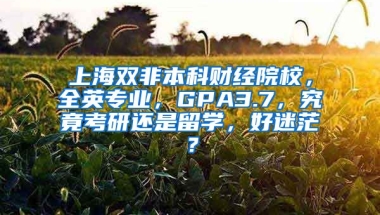 上海双非本科财经院校，全英专业，GPA3.7，究竟考研还是留学，好迷茫？