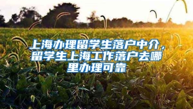 上海办理留学生落户中介，留学生上海工作落户去哪里办理可靠