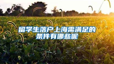 留学生落户上海需满足的条件有哪些呢