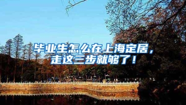 深圳首个街道级外国人来华工作一站式业务办理点，落户这个街道