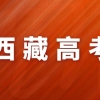 27日起，青岛社保、医保等窗口和网上服务暂停