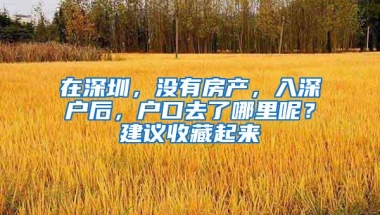 如何理解深圳户籍家庭的类别