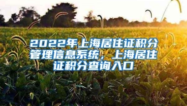 留学生落户 ｜ 想要顺利落户上海，留学生入职前必须知道这些事！