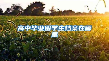 高中毕业留学生档案在哪里