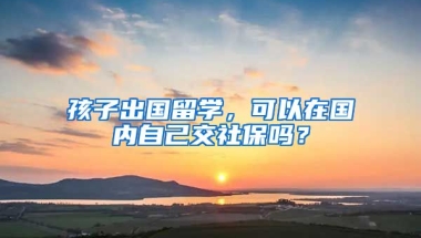 孩子出国留学，可以在国内自己交社保吗？