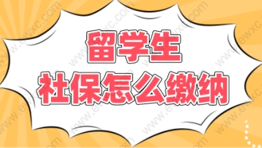 留学生回国缴纳社保即可落户？上海落户这么简单？