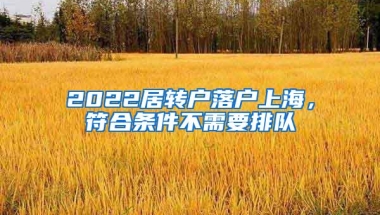 动词君｜海归平均月薪1.3w上热搜，留学生：对不起，是我拖后腿了