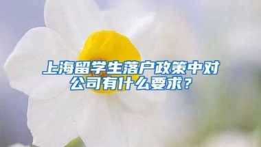 上海留学生落户政策中对公司有什么要求？