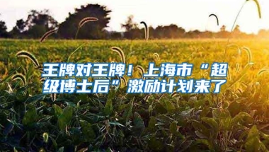 深圳积分入户审核进度查询从什么时候开始？