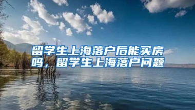 留学生上海落户后能买房吗，留学生上海落户问题