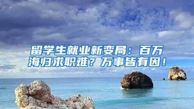 留学生就业新变局：百万海归求职难？万事皆有因！