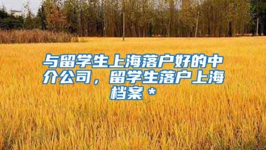 与留学生上海落户好的中介公司，留学生落户上海档案＊