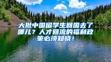 大批中国留学生回国去了哪儿？人才回流的福利政策必须知晓！