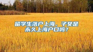 留学生落户上海，子女是永久上海户口吗？