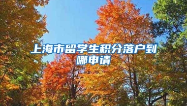 上海市留学生积分落户到哪申请