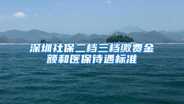 子女随迁入户深圳如何现场申办呢？（属省外户籍15至20周岁的）