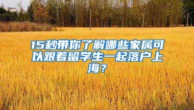 海外留学归国人才享受“闪送”落户服务，上海这个区做了尝试