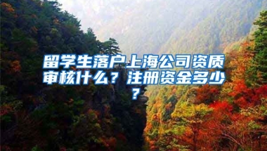 留学生落户上海公司资质审核什么？注册资金多少？