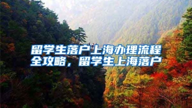 留学生落户上海办理流程全攻略，留学生上海落户