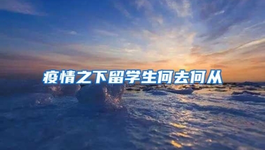 为什么80%以上的家长为了让孩子上公办学校，直接入户深圳？