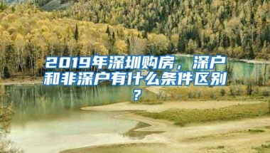 深圳市民政局重要提醒！这些补贴将通过社保卡统一发放