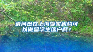 请问现在上海哪家机构可以做留学生落户啊？