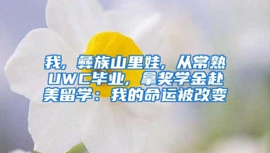 深圳11家企业登榜，财富发布2022年中国最具社会影响力的创业公司榜单