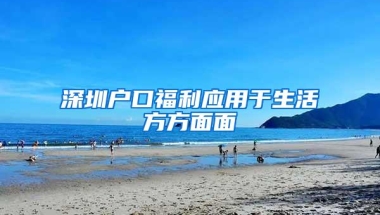 省钱的解决，深圳怎么查询集体户口户主问题的方法