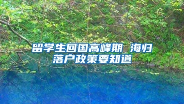 留学生回国高峰期 海归落户政策要知道