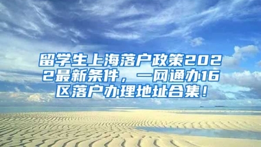 留学生上海落户政策2022最新条件，一网通办16区落户办理地址合集！