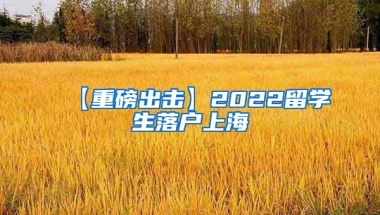 【重磅出击】2022留学生落户上海