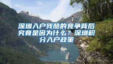 深圳新人才引进业务系统今日上线！在职人才引进可个人直接申报