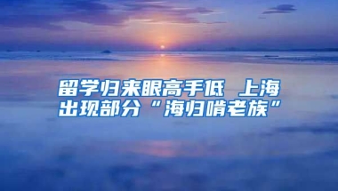 留学归来眼高手低 上海出现部分“海归啃老族”