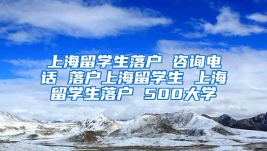 上海留学生落户 咨询电话 落户上海留学生 上海留学生落户 500大学