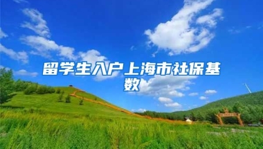 留学生入户上海市社保基数