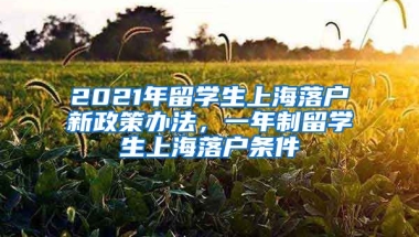 2021年留学生上海落户新政策办法，一年制留学生上海落户条件