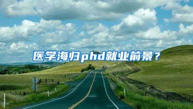 医学海归phd就业前景？