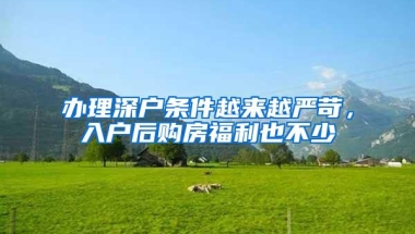 成功搞定2020年深圳市在职人才引进的秘诀：使用正确的方法