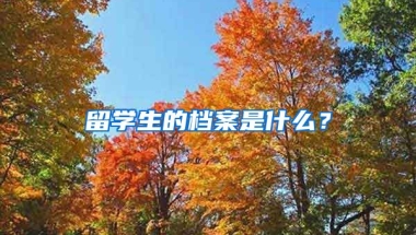 留学生的档案是什么？