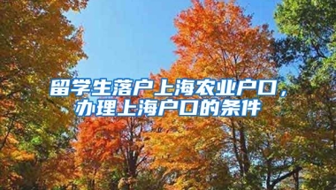 留学生落户上海农业户口，办理上海户口的条件