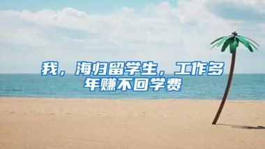 我，海归留学生，工作多年赚不回学费