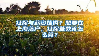 记录作为一个销售岗位，如何通过7+职称顺利落户