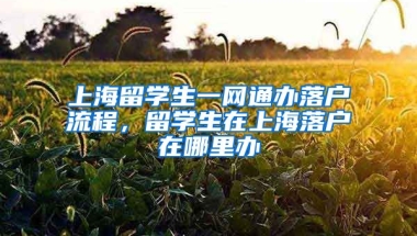 上海留学生一网通办落户流程，留学生在上海落户在哪里办