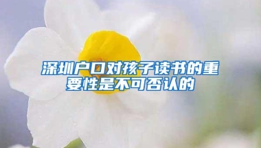 在深圳，非深户也能办理港澳通行证