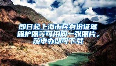 2022年落户深圳，选择哪个区比较好？