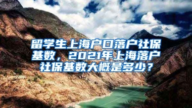 留学生上海户口落户社保基数，2021年上海落户社保基数大概是多少？