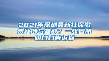 深圳再添一所大学！香港大学将落户深圳市南山区