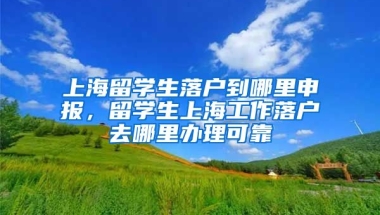 上海留学生落户到哪里申报，留学生上海工作落户去哪里办理可靠